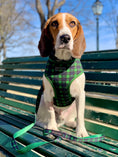 Load image into Gallery viewer, Parisian Pet 'Freedom Harness Scottish' for Dogs & Cats – Comfortable Adjustable Plaid Dog Harness, Durable Design, Green & Blue
