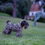 Bespoke Reversible Dog Coat/Raincoat Studio 54