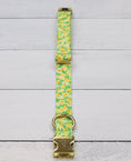 Load image into Gallery viewer, Daffodil Meadow Collar
