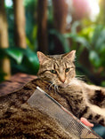 Load image into Gallery viewer, Cool Cat Comb
