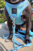 Load image into Gallery viewer, 3-in-1 City Dog Leash - Ocean
