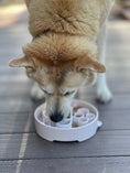 Load image into Gallery viewer, Java eBowl Deep Slow Feeder Dog Bowl for Enrichment | USA Made
