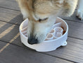 Load image into Gallery viewer, Java eBowl Deep Slow Feeder Dog Bowl for Enrichment | USA Made
