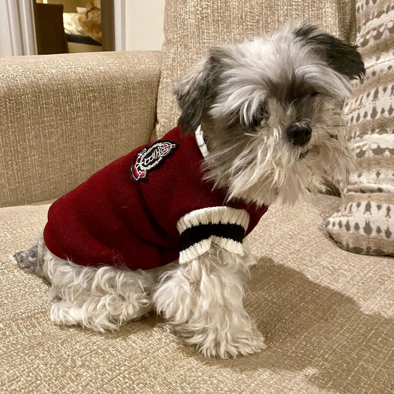 Preppy V-neck College Dog Sweater Pullover - Southlake Paws