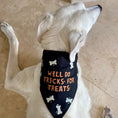 Load image into Gallery viewer, Halloween Reversible Collar Bandana "Tricks for Treats" / "Happy Howl-oween" - Southlake Paws

