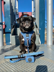 City Dog Leash - Denim 