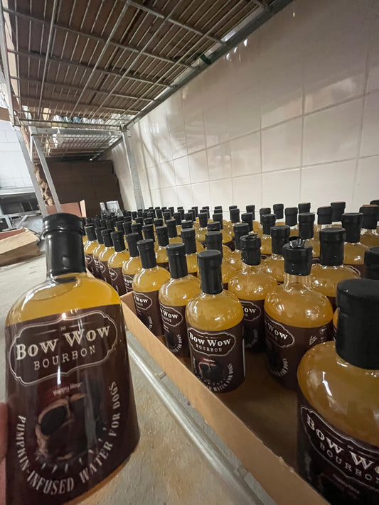 Bow Wow Reserve Pumpkin Dog Water