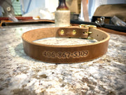 Full Leather Dog Collar 