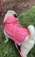 Load image into Gallery viewer, IZOD Pet - Packable Raincoat
