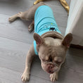 Load image into Gallery viewer, Blue “Sniffany & Co" Dog T-Shirt 
