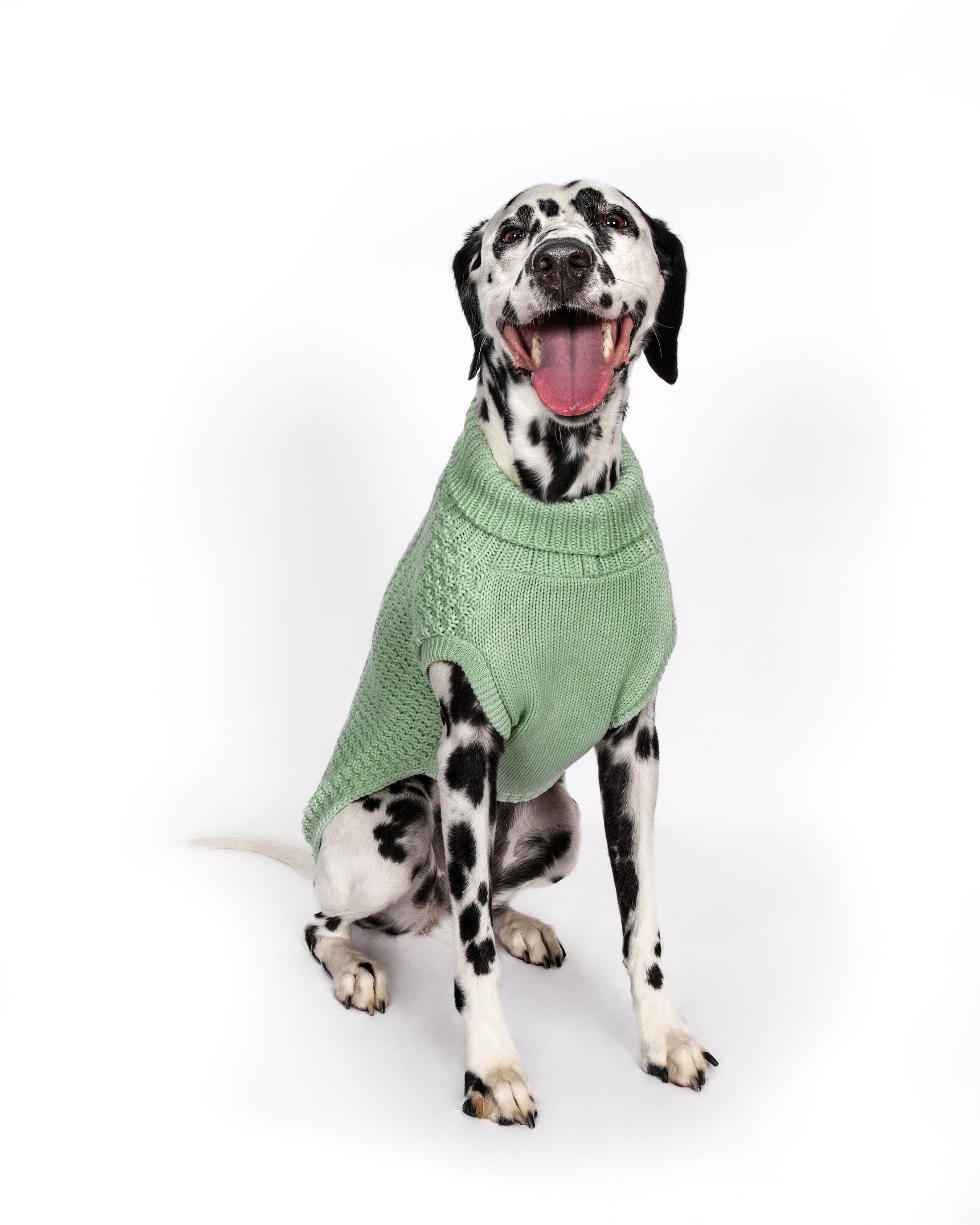 Mint Super Chunky Sweater - Southlake Paws