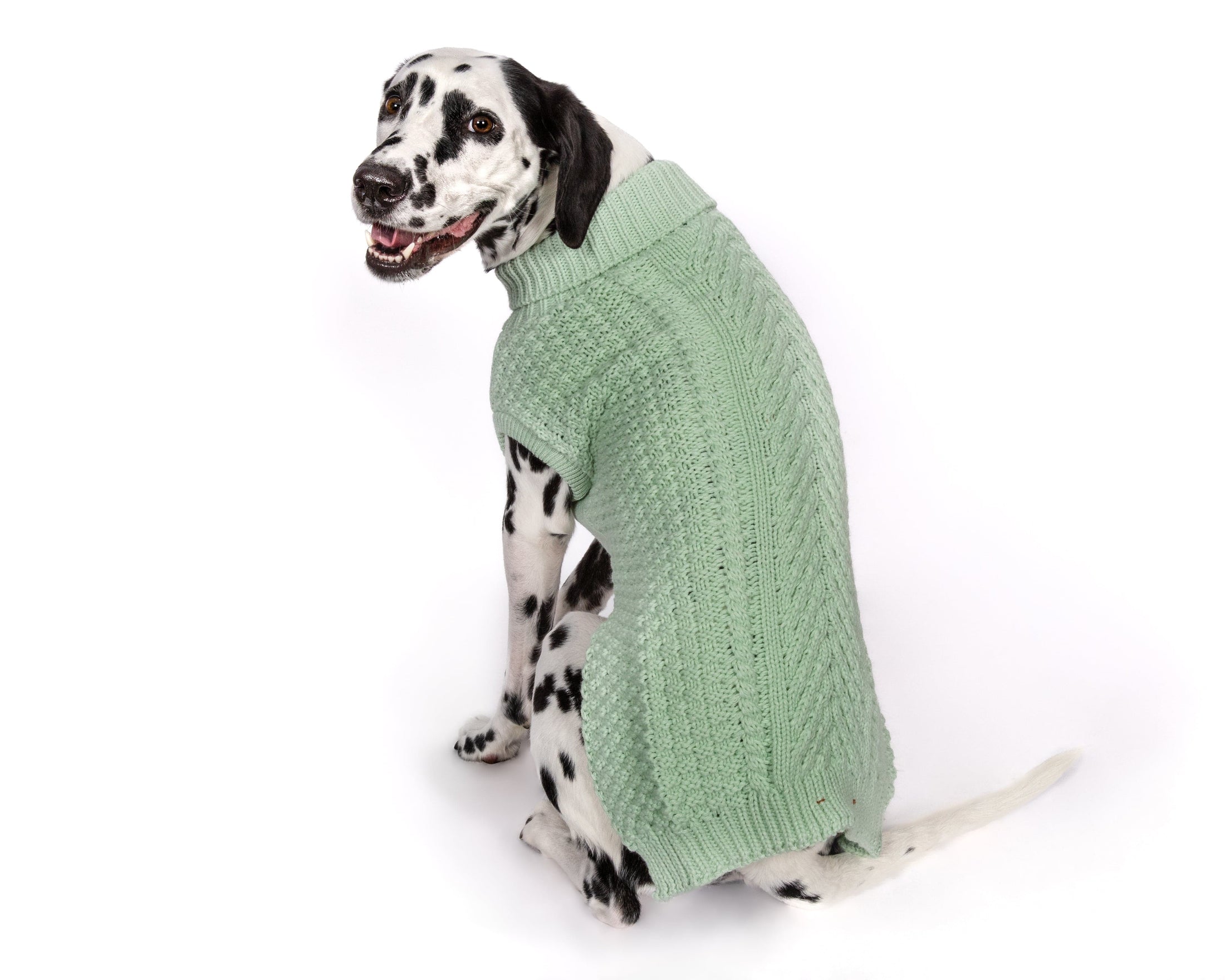 Mint Super Chunky Sweater - Southlake Paws