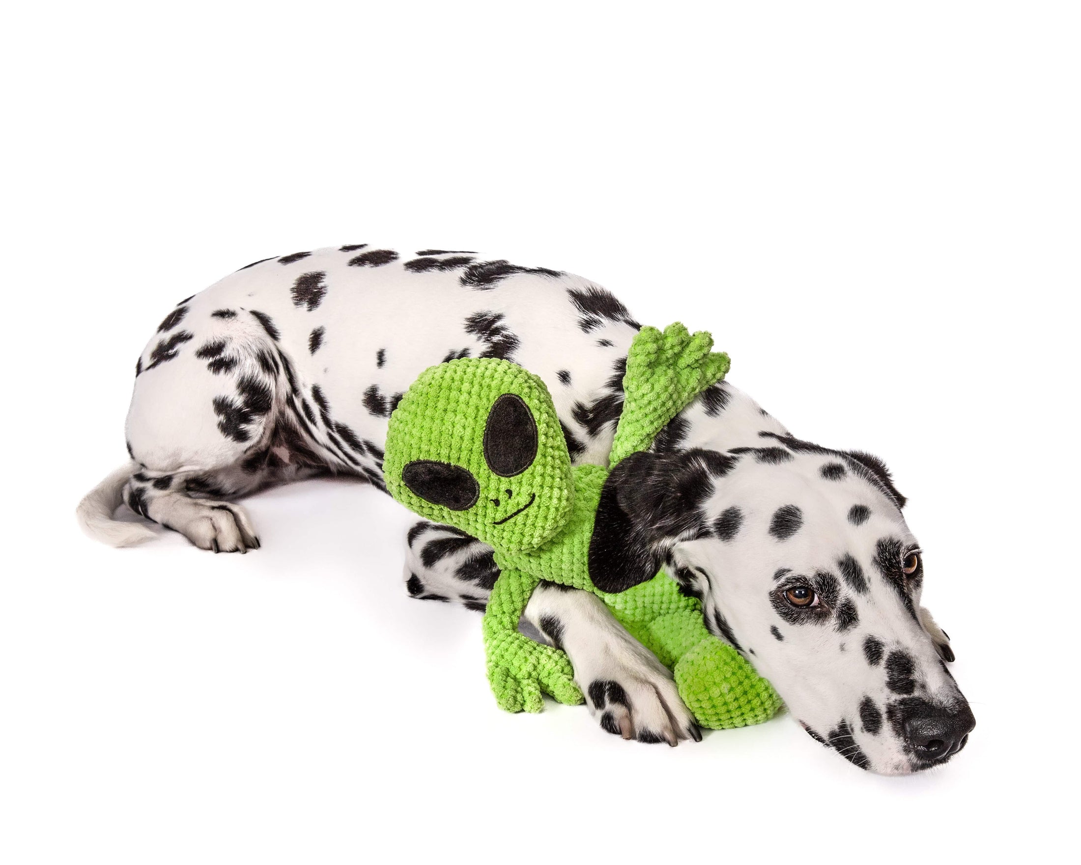 Floppy Alien - Southlake Paws