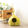 Load image into Gallery viewer, Citrus Green | Tail Style Cave
