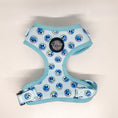 Load image into Gallery viewer, Tie Dye Smiley Harness 
