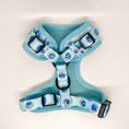 Load image into Gallery viewer, Tie Dye Smiley Harness 

