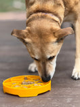 Load image into Gallery viewer, Sunflower eTray Shallow Slow Feeder Dog Bowl for Enrichment | USA Made
