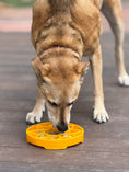 Load image into Gallery viewer, Sunflower eTray Shallow Slow Feeder Dog Bowl for Enrichment | USA Made

