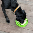 Load image into Gallery viewer, Garden Design eTray - Shallow Slow Feeder Dog Bowl for Enrichment | USA
