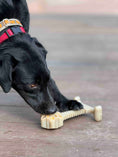 Load image into Gallery viewer, Honey Bone Dental Flower Tower - Indestructible Nylon Dog Chew Toy XL | USA
