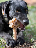 Load image into Gallery viewer, Honey Bone Dental Flower Tower - Indestructible Nylon Dog Chew Toy XL | USA
