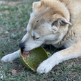 Load image into Gallery viewer, Garden of Eatin' Tipsy Bowl - Wobble Lick Mat for Dogs & Cats | USA Made
