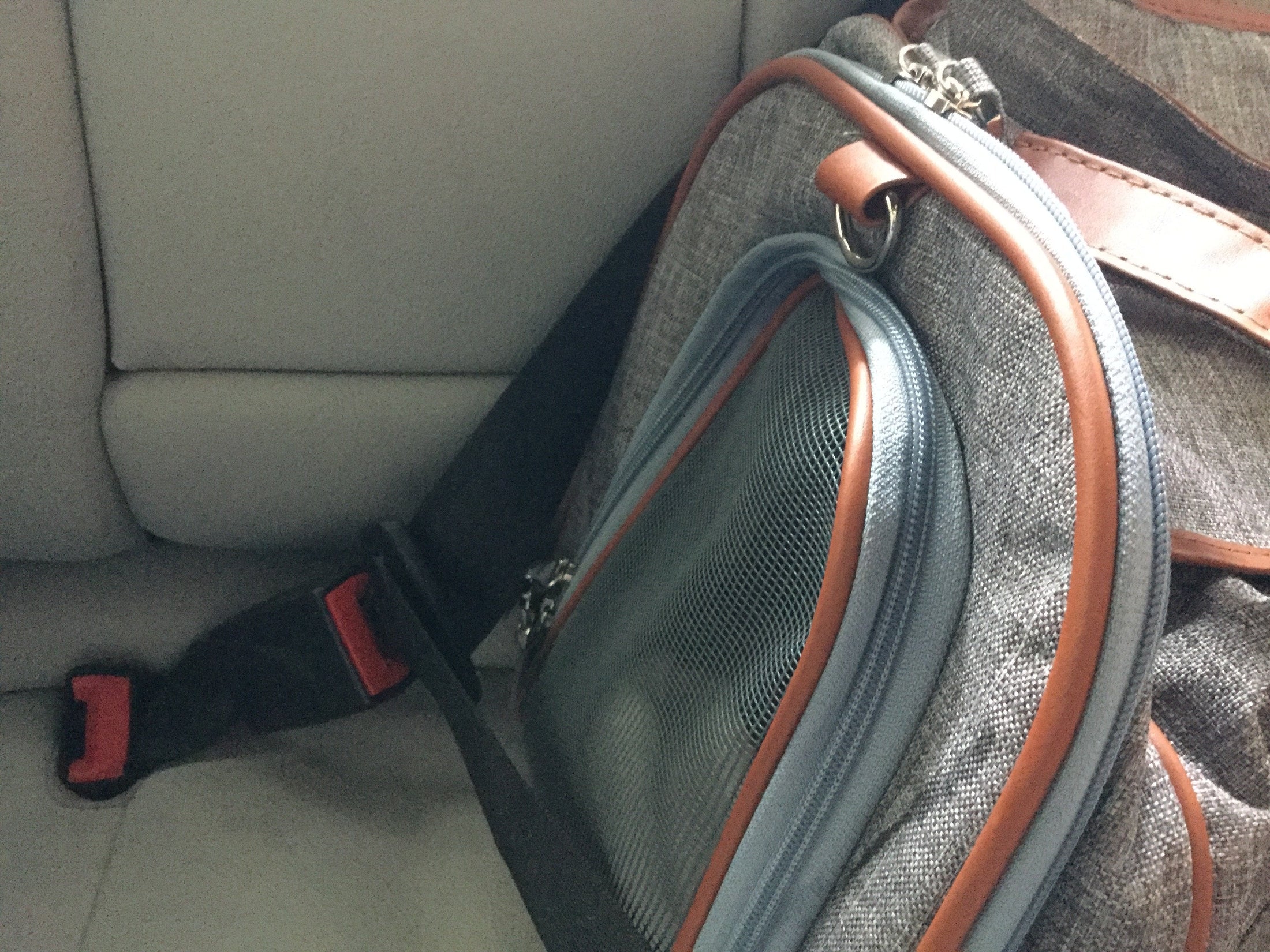 Mr. Peanut's Gold Series Big Apple XL Size Airline Compliant Expandable Pet Carrier - Southlake Paws