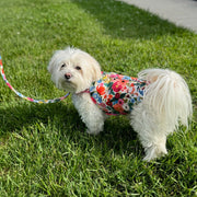 Floral Burst Harness