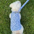Load image into Gallery viewer, Blue Floral Toile Harness
