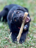 Load image into Gallery viewer, Durable Nylon Chew Stick for Power Chewers | Indestructible Dog Toy USA

