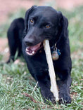 Load image into Gallery viewer, Durable Nylon Chew Stick for Power Chewers | Indestructible Dog Toy USA
