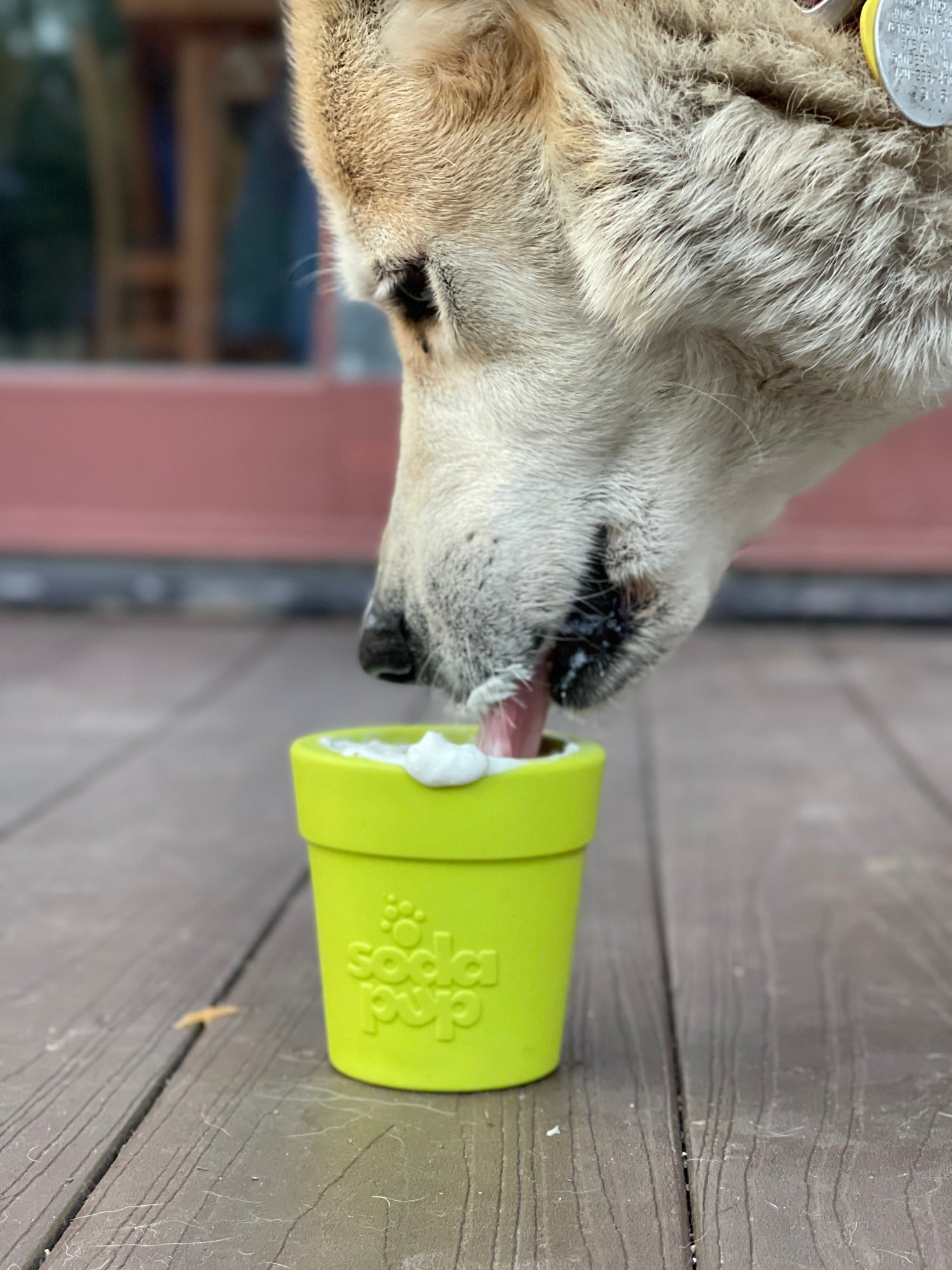 Large Flower Pot eCup Dog Treat Dispenser by Southlake Paws, bright green, with a dog licking treats from it.
