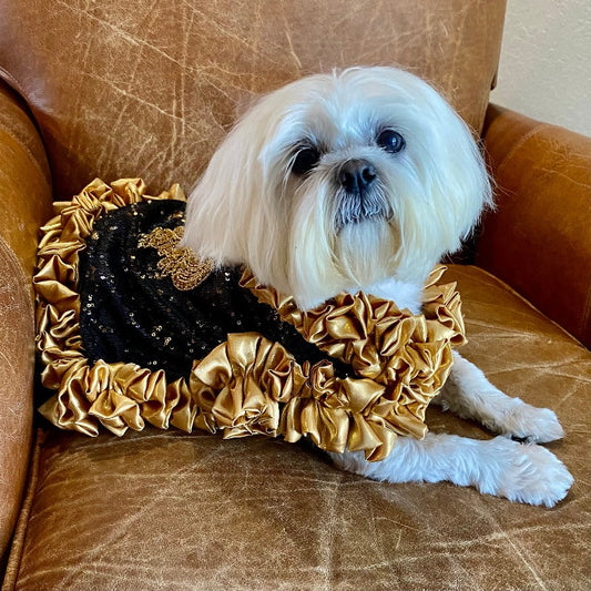 C’Mimi Designer Couture “Cleopatra” Dog Party Dress - Southlake Paws