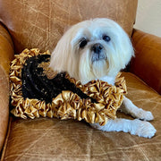C’Mimi Designer Couture “Cleopatra” Dog Party Dress