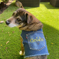 Load image into Gallery viewer, Personalized Denim Harness
