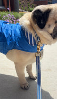 Load image into Gallery viewer, IZOD Pet - Collar & Leash Set
