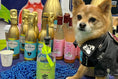 Load image into Gallery viewer, Ay Chihuahua Mango Dog Water close-up bottle image for dogs
