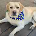 Load image into Gallery viewer, Sport Bandana - DOT Blue/Green/Yellow
