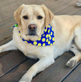 Load image into Gallery viewer, DOT Blue/Green/Yellow

