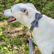 Classic Gray Check Bow Tie Dog Collar & Leash Set | Personalized Free