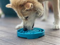 Load image into Gallery viewer, Baja Design eTray - Shallow Slow Feeder Dog Bowl for Enrichment | USA Made

