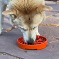 Load image into Gallery viewer, Sun and Moon eTray - Shallow Slow Feeder Dog Bowl for Enrichment | USA Made
