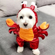 Halloween Red Crab Dog Costume