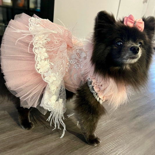 Designer Handmade "Sophia" Dog Party Dress - Southlake Paws