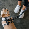 Load image into Gallery viewer, Frenchie Duo Reversible Harness - Black Marble 
