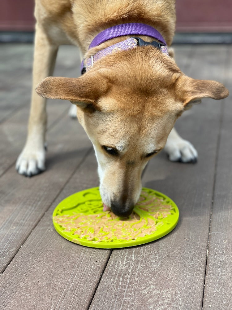 Tree of Life eMat by Southlake Paws, a green enrichment lick mat with suction cups, used by a dog on a wooden surface.