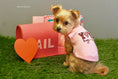 Load image into Gallery viewer, Parisian Pet 'XOXO' Soft Cotton Slogan Dog T-Shirt – Trendy and Comfortable Outfit for Small Dogs & Cats, Pink-Valentine's Day
