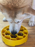 Load image into Gallery viewer, Honeycomb eBowl Deep Slow Feeder Dog Bowl for Enrichment | USA Made
