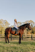 Load image into Gallery viewer, Jump Saddle Pad | Black
