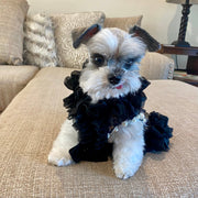 C’Mimi Designer Handmade “Studio 54” Dog Party Dress